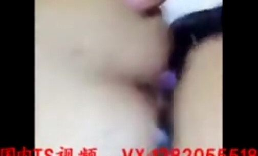 Sexy Chinese Trans Cock 827