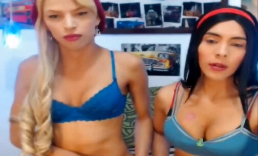 Blond & black-haired colombian shemales fucking & sucking each other