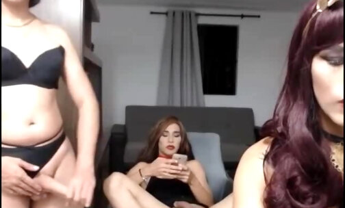 Threesome latina Tgirls blowjobs on webcam