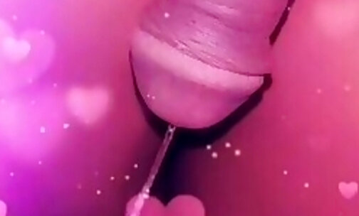 My small sissy cock