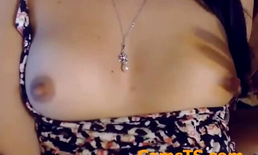 T R shemale s sexy little titties Cam LIve sh0w