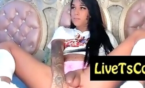 pretty inked brazilian trnsgender slut showing and her
