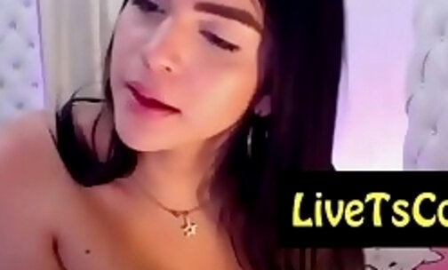 pretty brazilian hot tranny performing on live webcam l
