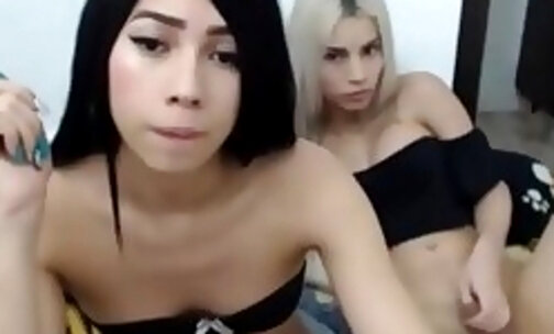 blonde and brunette trans sucking each others cock on webcam
