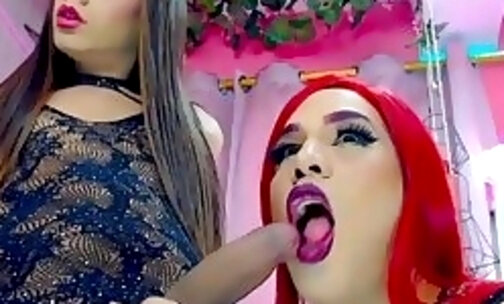 Naughty Tranny Duo Blowing  Cock