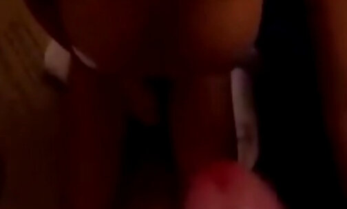 Hot Andrea gobbles on a dick